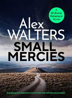 Small Mercies by Alex Walters