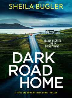 Dark Road Home by Sheila Bugler