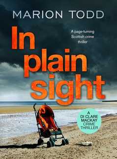 In Plain Sight by Marion Todd