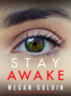 Stay Awake by Megan Goldin