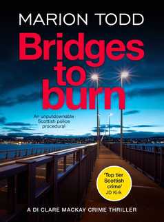 Bridges to Burn by Marion Todd