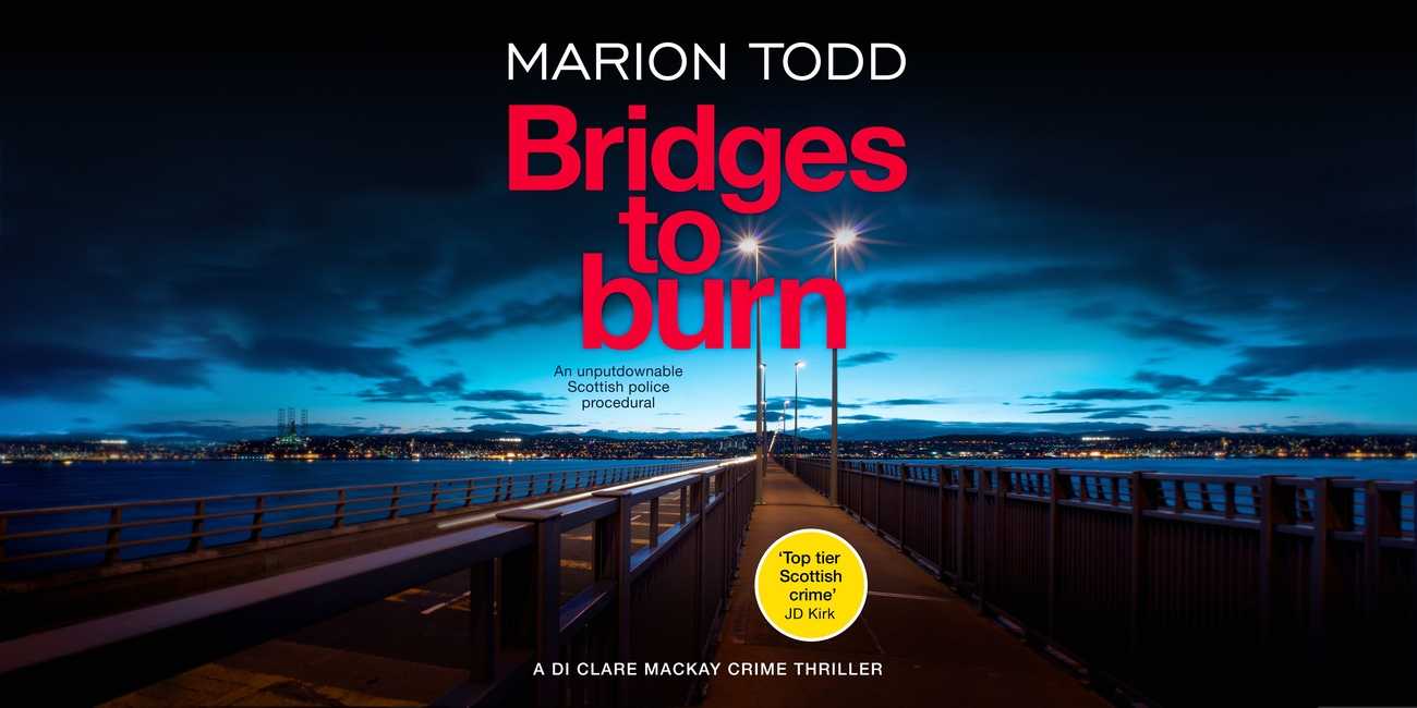 Cover of Bridges to Burn